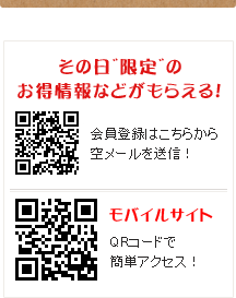 �������Ȗ{�� ���������� ���o�C���T�C�g